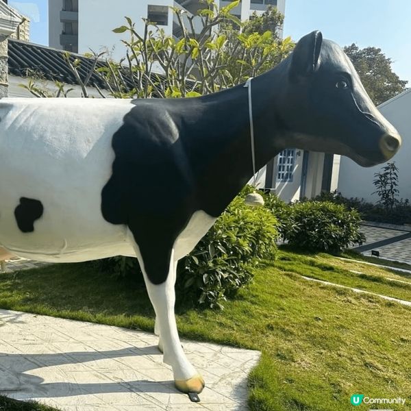 薄鳧林牧場The Pokfulam Farm 🐄
