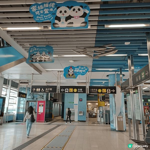 嚟到海洋公園站，周圍都見到熊貓，周圍都好多同熊貓影相嘅打卡位...