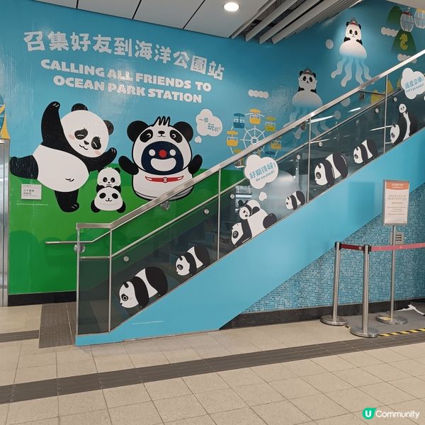 嚟到海洋公園站，周圍都見到熊貓，周圍都好多同熊貓影相嘅打卡位...