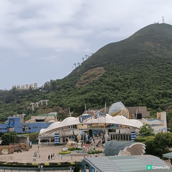 嚟到海洋公園站，周圍都見到熊貓，周圍都好多同熊貓影相嘅打卡位...