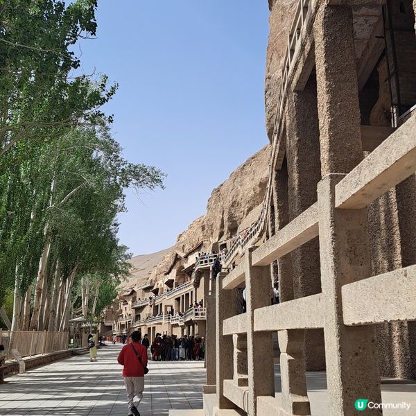 敦煌莫高窟，一眼千年 ✨青甘大環線5️⃣