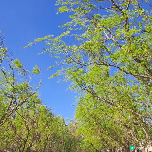 嘉峪關雄偉，大漠風沙勁！💪🏜️甘青大環線6️⃣