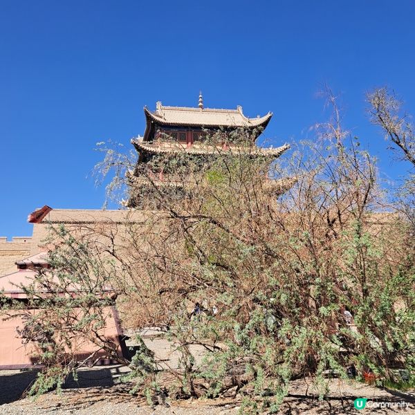 嘉峪關雄偉，大漠風沙勁！💪🏜️甘青大環線6️⃣