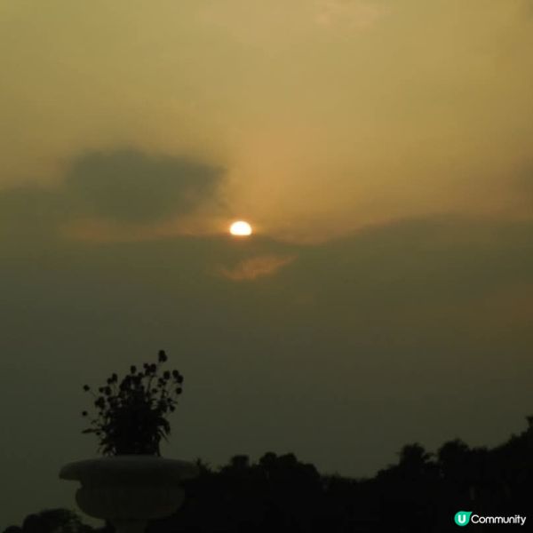 遊車河🚘@黃金海岸+畢架山