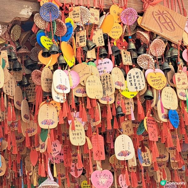 七彩丹霞🌈張掖絕美地貌！🤩青甘大環線7️⃣