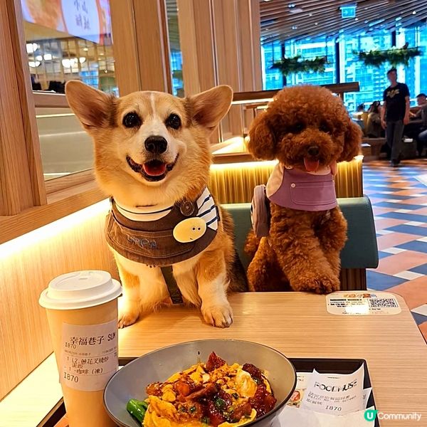 食貨天堂！🤩 1萬呎美食廣場登場！