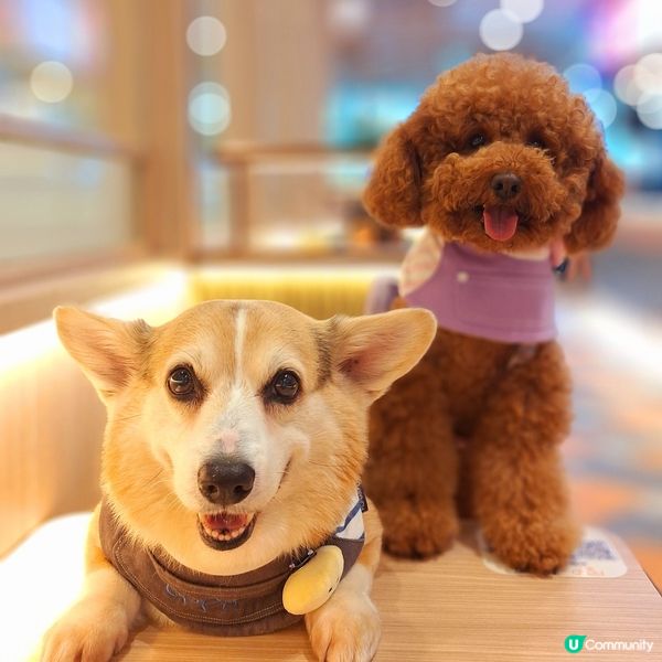 食貨天堂！🤩 1萬呎美食廣場登場！