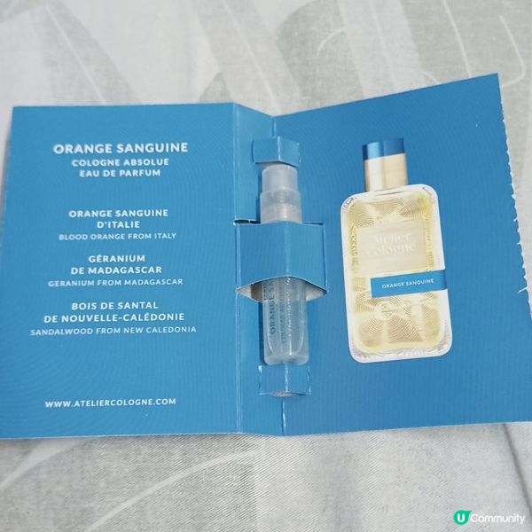 🍊 赤霞橘光，香氣滿溢