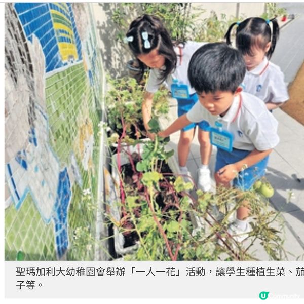 聖瑪加利大幼稚園 重生命教育 結合AI教音樂傳統與創新兼備