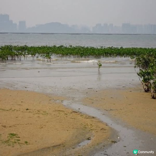 下白泥輕鬆遊🏝🌄
