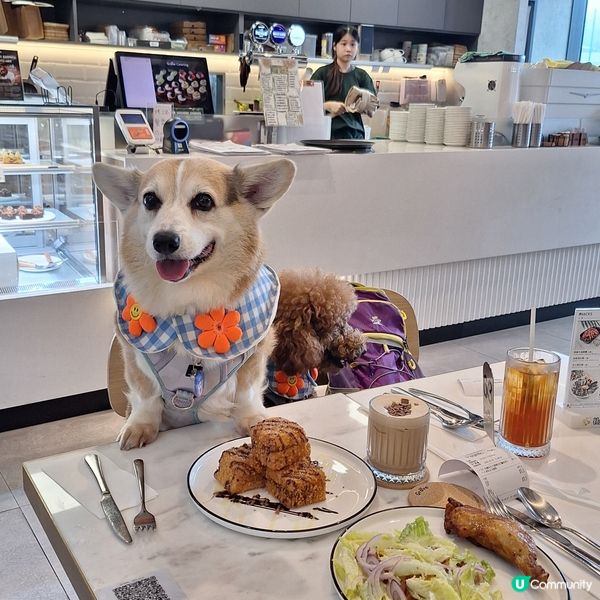 啟德零售館3 嘆美食 🐶❤️