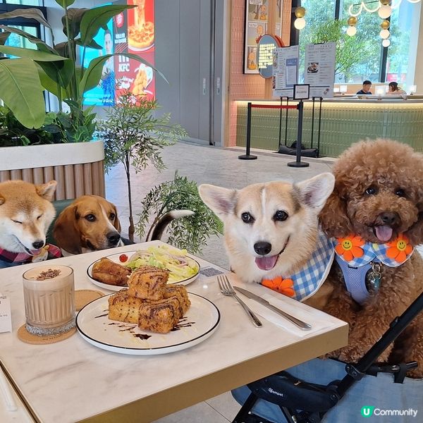 啟德零售館3 嘆美食 🐶❤️