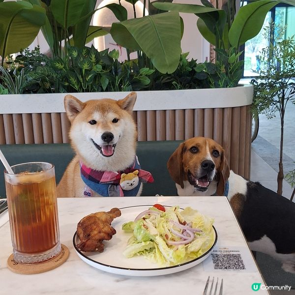 啟德零售館3 嘆美食 🐶❤️