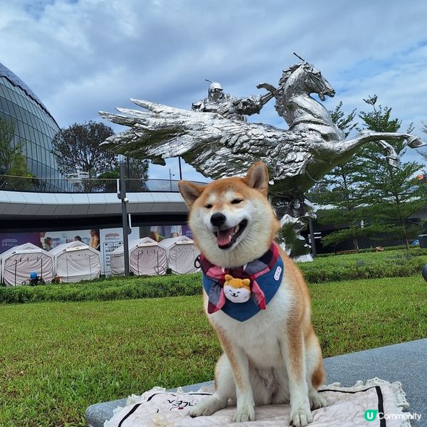 🐶🐾 啟德海濱新玩法！