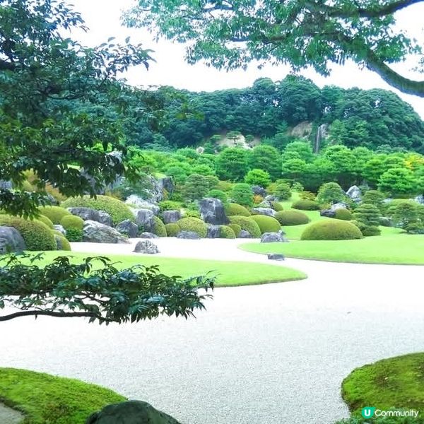 米子足立美術館，庭園美景，心曠神怡！🌸🇯🇵