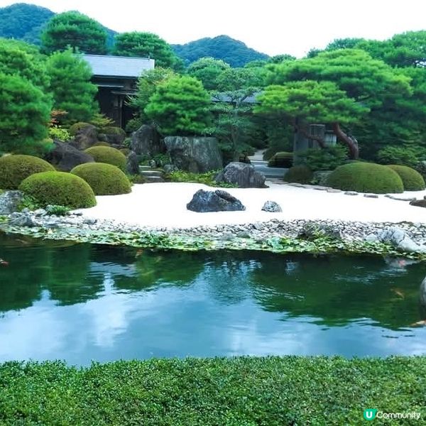 米子足立美術館，庭園美景，心曠神怡！🌸🇯🇵