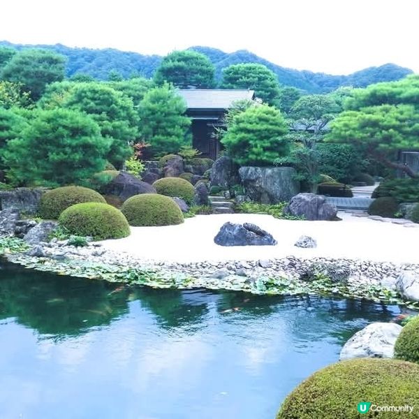 米子足立美術館，庭園美景，心曠神怡！🌸🇯🇵