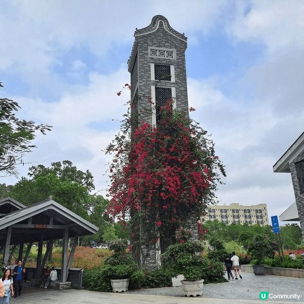 深圳勒杜鵑谷公園，佔地8800畝，有山有湖，綠色景觀，天氣好...