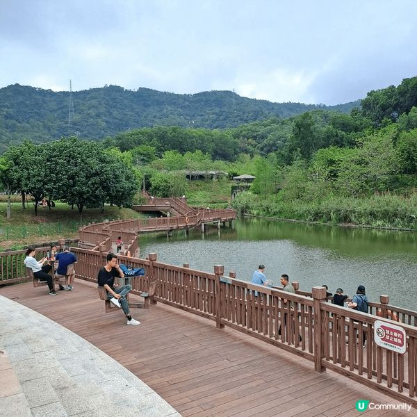 深圳勒杜鵑谷公園，佔地8800畝，有山有湖，綠色景觀，天氣好...