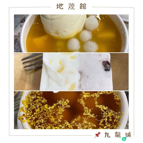 🤍九龍城。地茂館