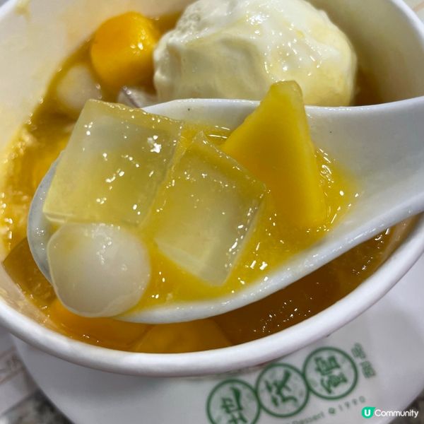 🤍九龍城。地茂館