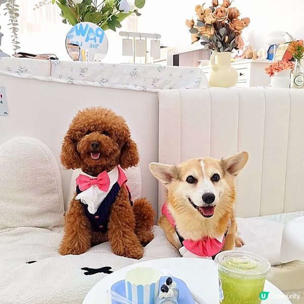 荔枝角包場優惠🎉  
  
荔枝角時釆中心1102室，包場