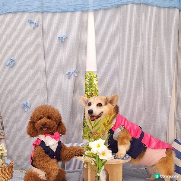 荔枝角包場優惠🎉  
  
荔枝角時釆中心1102室，包場