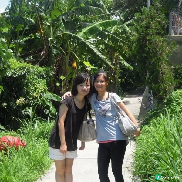 反轉南丫島(榕樹灣+索罟灣)