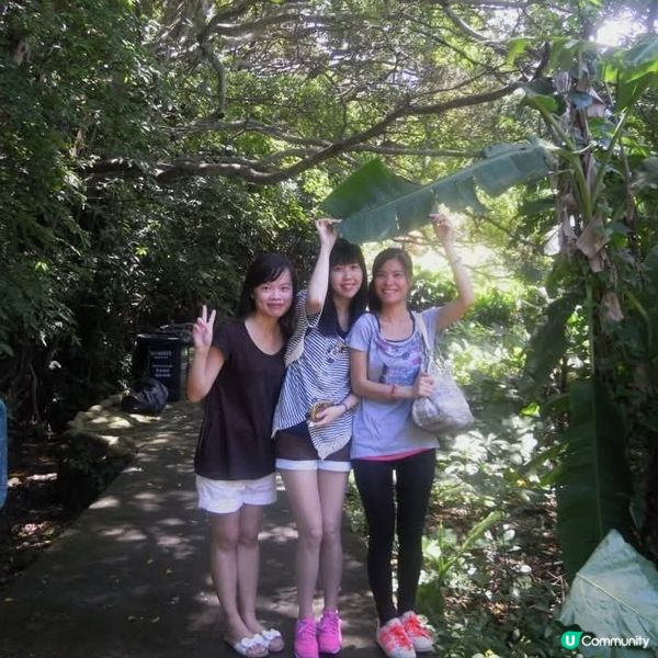 反轉南丫島(榕樹灣+索罟灣)