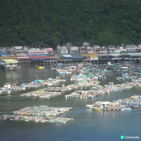 反轉南丫島(榕樹灣+索罟灣)