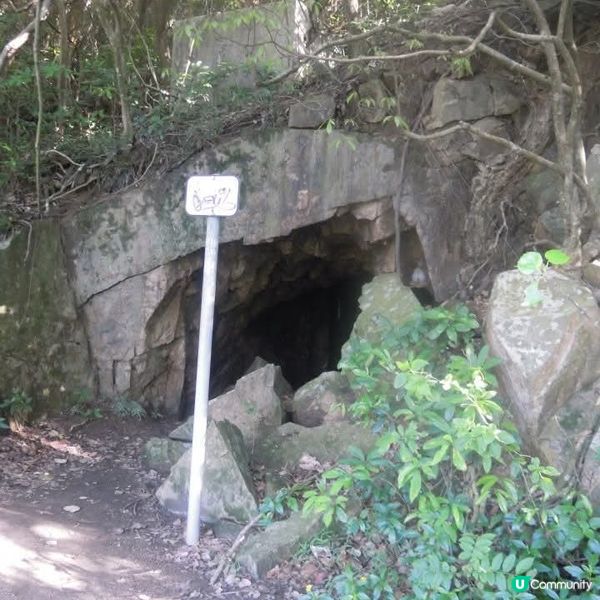 反轉南丫島(榕樹灣+索罟灣)