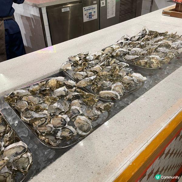 🤍佐敦 。普慶餐廳