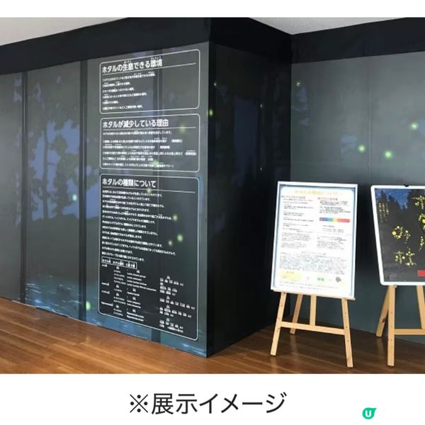 100%必見螢火蟲🤩勿失良機💫