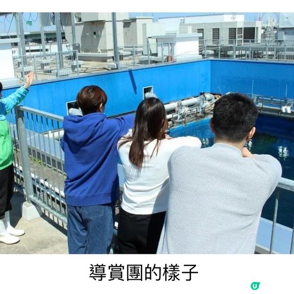 100%必見螢火蟲🤩勿失良機💫