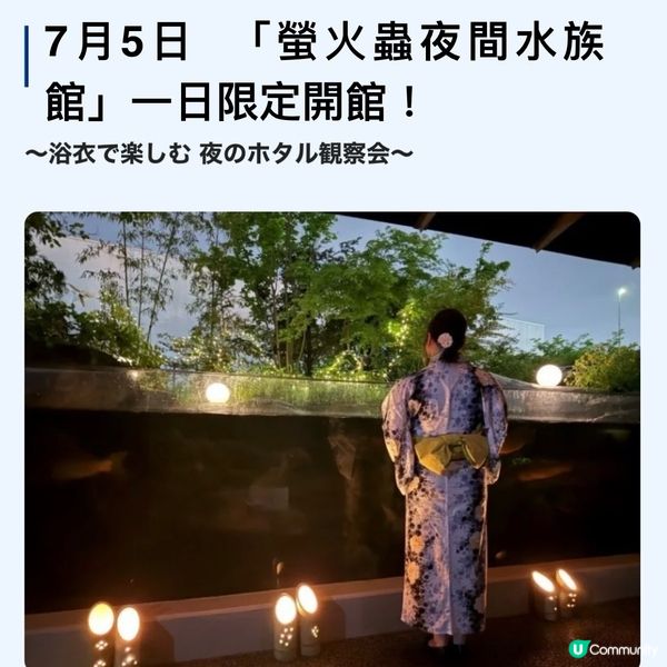 100%必見螢火蟲🤩勿失良機💫