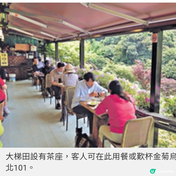 台北陽明山繡球花季 繽紛開鑼