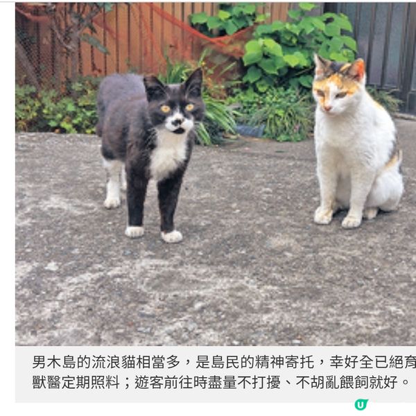 海風環繞的在地文化藝術展 瀨戶內島嶼的即興美學課