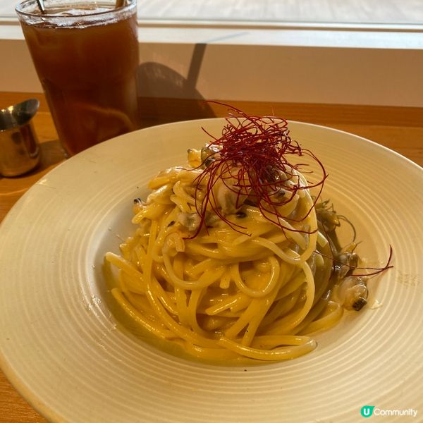 🫡 歡迎關注我嘅戶口､訂閱我嘅YouTube頻道, foll...