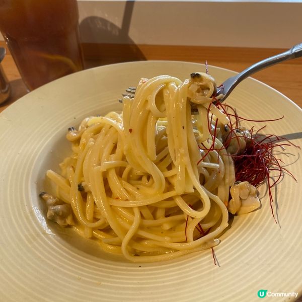 🫡 歡迎關注我嘅戶口､訂閱我嘅YouTube頻道, foll...