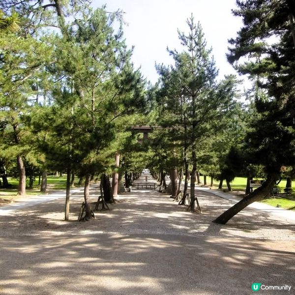 出雲大社求姻緣❤️  
去日本旅行必去！