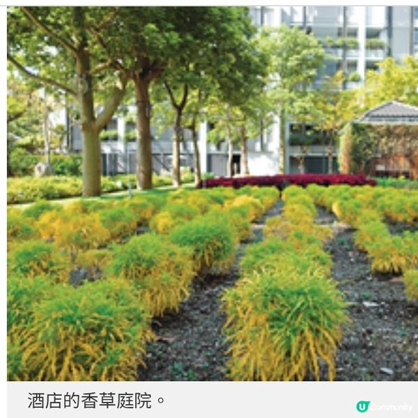 花蓮身心靈之旅 台灣首間香草主題奢華酒店