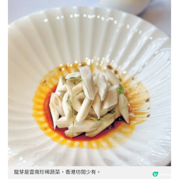 新加坡過江龍湘聚落戶銅鑼灣 高級湘菜融合兩大菜系精髓