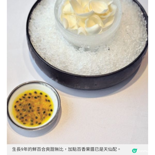 新加坡過江龍湘聚落戶銅鑼灣 高級湘菜融合兩大菜系精髓