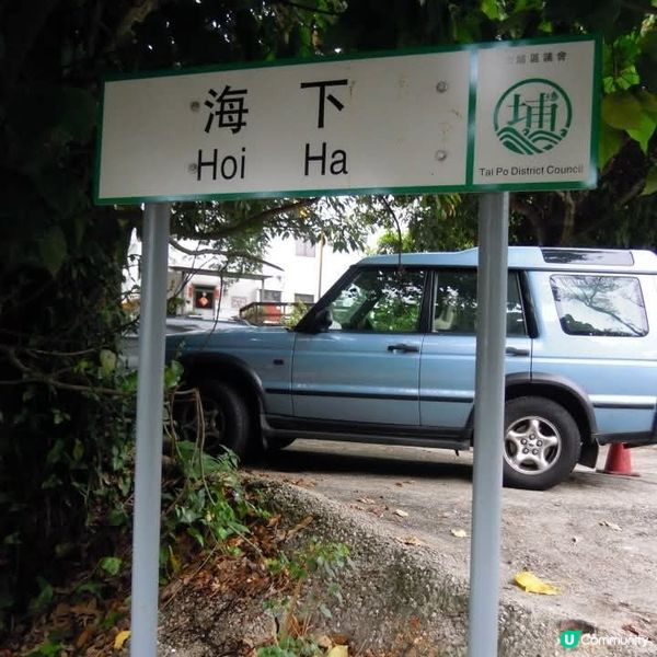 大灘+灣仔+海下灣郊遊日👭