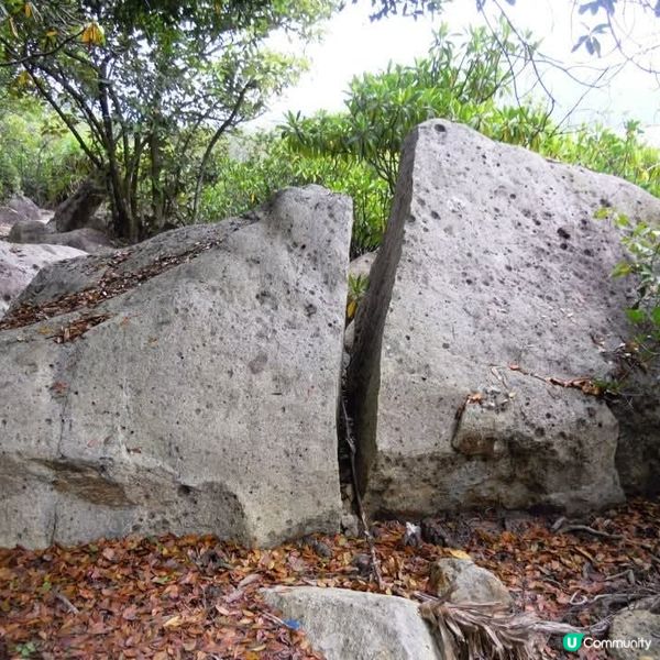 大灘+灣仔+海下灣郊遊日👭