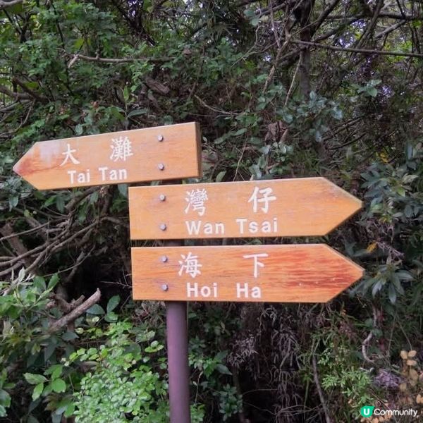 大灘+灣仔+海下灣郊遊日👭