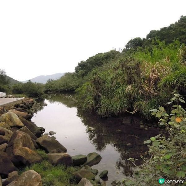 大灘+灣仔+海下灣郊遊日👭