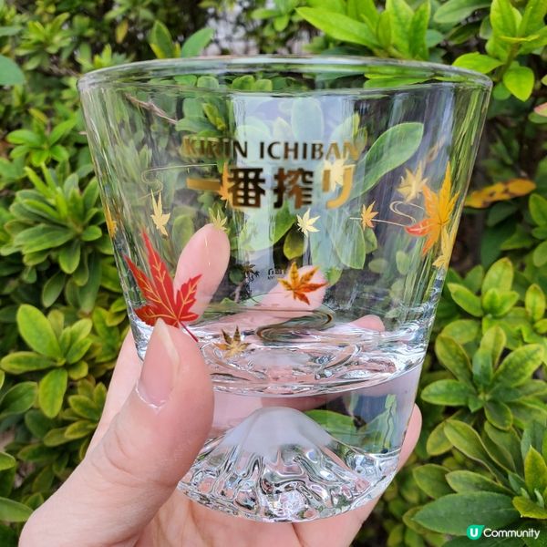 麒麟一番搾秋日和楓禮品套裝😍  靚到爆！