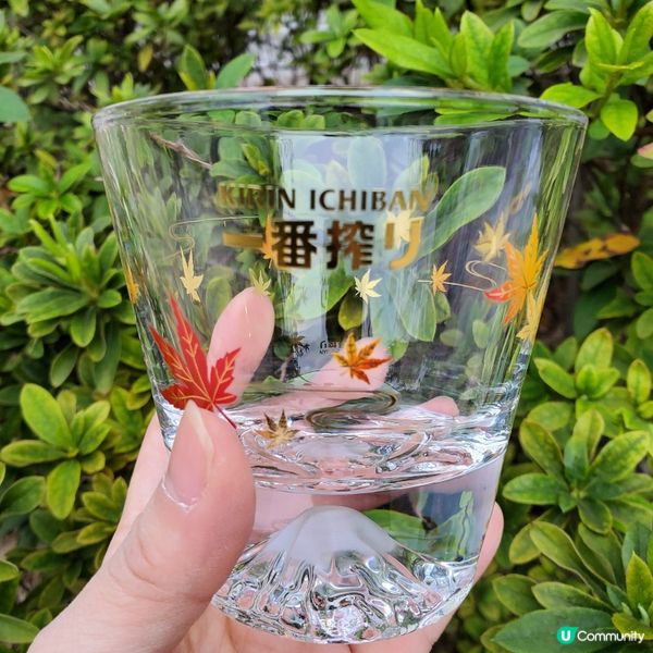 麒麟一番搾秋日和楓禮品套裝😍  靚到爆！