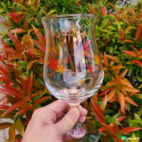 麒麟一番搾秋日和楓禮品套裝😍  靚到爆！